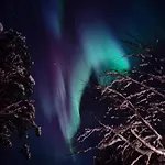 아파트 Arctic Silence