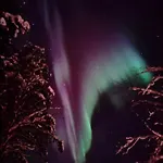 Arctic Silence 아파트 Lankojärvi
