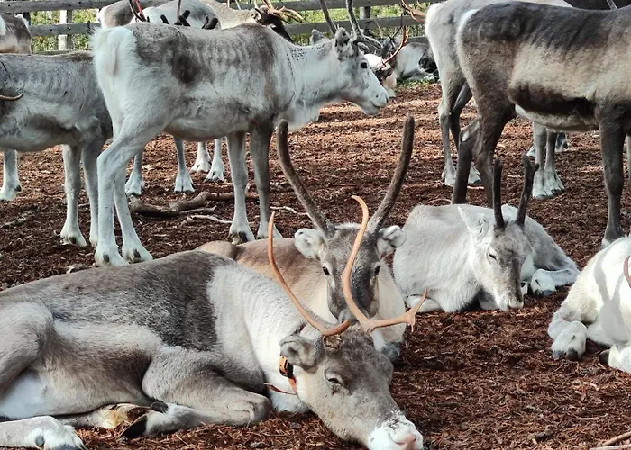 Arctic Silence 公寓