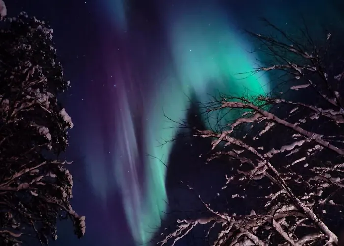 公寓 Arctic Silence