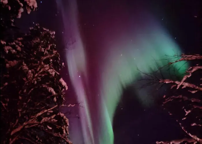 Arctic Silence 公寓 Lankojärvi